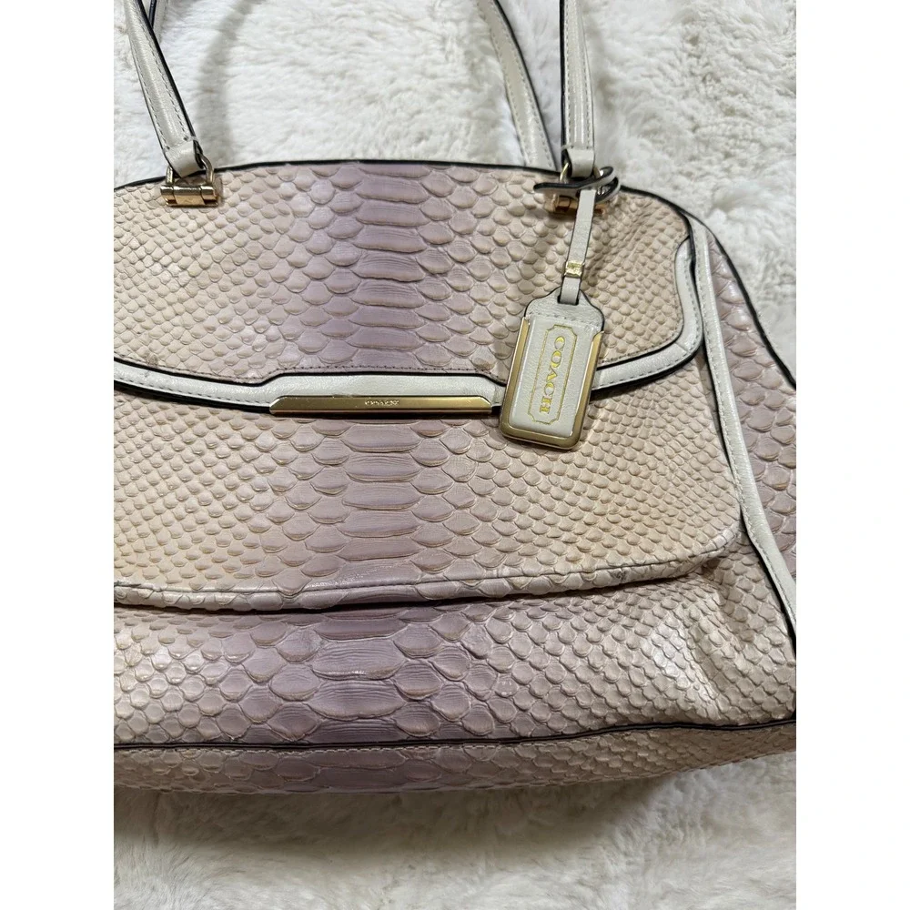 Coach Madison Pinnacle Python Ombre Snakeskin Leather Bag Purse Vintage Chic